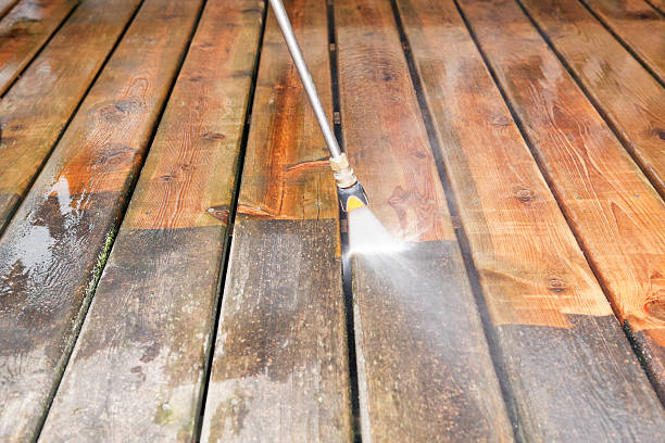 Best Vinyl Siding Pressure Washing in Poth, TX